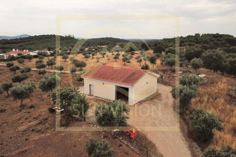 Farm i Estremoz, Evora, Estremoz - € 1.200.000 | Ref: SV_QUI596 - foto 36
