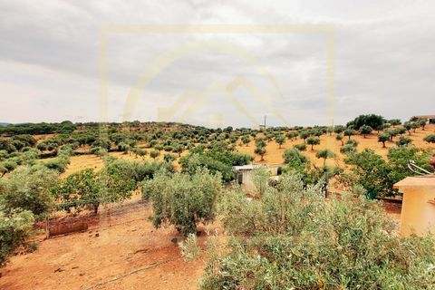 Farm i Estremoz, Evora, Estremoz - € 1.200.000 | Ref: SV_QUI596 - foto 45