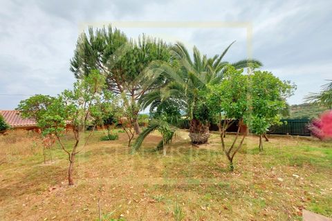 Farm i Estremoz, Evora, Estremoz - € 1.200.000 | Ref: SV_QUI596 - foto 46