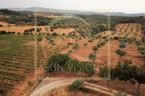 Farm i Estremoz, Evora, Estremoz - € 1.200.000 | Ref: SV_QUI596 - foto 48