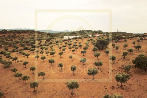 Farm i Estremoz, Evora, Estremoz - € 1.200.000 | Ref: SV_QUI596 - foto 49