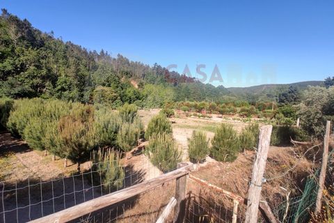Erhvervsejendom i Folques, Coimbra, Folques - € 100.000 | Ref: AC 23/310 - foto 2