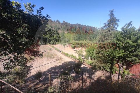 Erhvervsejendom i Folques, Coimbra, Folques - € 100.000 | Ref: AC 23/310 - foto 4