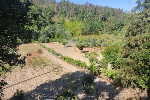 Erhvervsejendom i Folques, Coimbra, Folques - € 100.000 | Ref: AC 23/310 - foto 5
