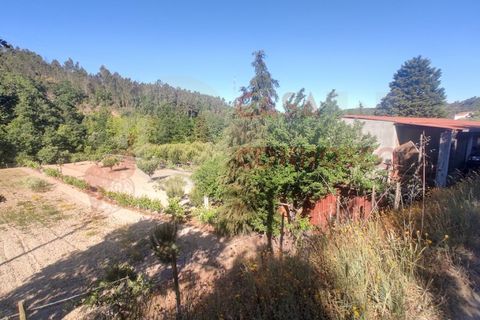 Erhvervsejendom i Folques, Coimbra, Folques - € 100.000 | Ref: AC 23/310 - foto 6