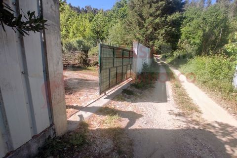 Erhvervsejendom i Folques, Coimbra, Folques - € 100.000 | Ref: AC 23/310 - foto 7