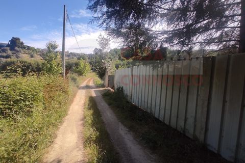 Erhvervsejendom i Folques, Coimbra, Folques - € 100.000 | Ref: AC 23/310 - foto 8