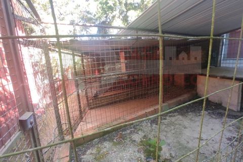 Erhvervsejendom i Folques, Coimbra, Folques - € 100.000 | Ref: AC 23/310 - foto 12