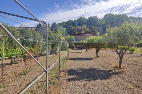 Erhvervsejendom i Folques, Coimbra, Folques - € 100.000 | Ref: AC 23/310 - foto 16