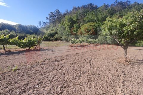 Erhvervsejendom i Folques, Coimbra, Folques - € 100.000 | Ref: AC 23/310 - foto 17