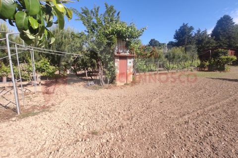 Erhvervsejendom i Folques, Coimbra, Folques - € 100.000 | Ref: AC 23/310 - foto 18