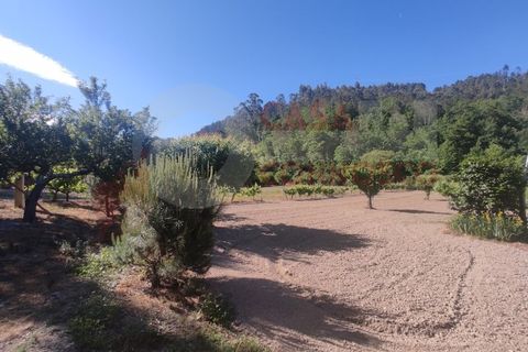 Erhvervsejendom i Folques, Coimbra, Folques - € 100.000 | Ref: AC 23/310 - foto 21