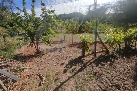 Erhvervsejendom i Folques, Coimbra, Folques - € 100.000 | Ref: AC 23/310 - foto 22