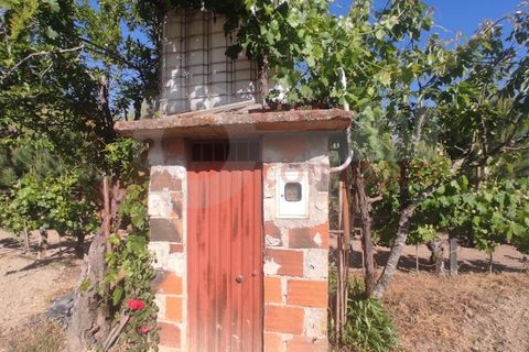 Erhvervsejendom i Folques, Coimbra, Folques - € 100.000 | Ref: AC 23/310 - foto 26