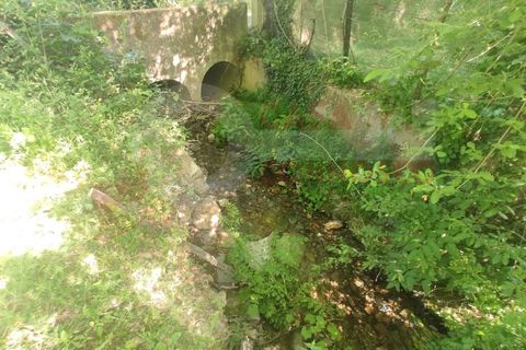 Erhvervsejendom i Folques, Coimbra, Folques - € 100.000 | Ref: AC 23/310 - foto 29