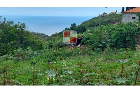 Helårsgrund i Ponta do Sol, Madeira, Ponta do Sol - € 175.000 | Ref: TER_4494 - foto 1