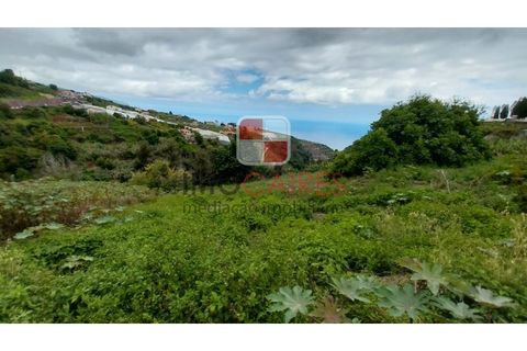 Helårsgrund i Ponta do Sol, Madeira, Ponta do Sol - € 175.000 | Ref: TER_4494 - foto 3