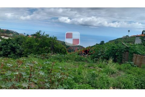 Helårsgrund i Ponta do Sol, Madeira, Ponta do Sol - € 175.000 | Ref: TER_4494 - foto 4