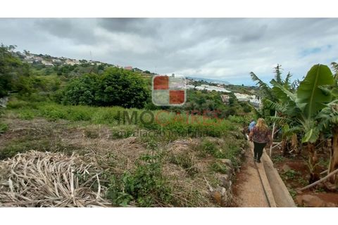 Helårsgrund i Ponta do Sol, Madeira, Ponta do Sol - € 175.000 | Ref: TER_4494 - foto 5