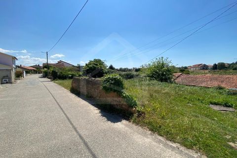 Helårsgrund i Anadia, Aveiro, Anadia - € 17.000 | Ref: 7624 - foto 2