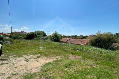 Helårsgrund i Anadia, Aveiro, Anadia - € 17.000 | Ref: 7624 - foto 3