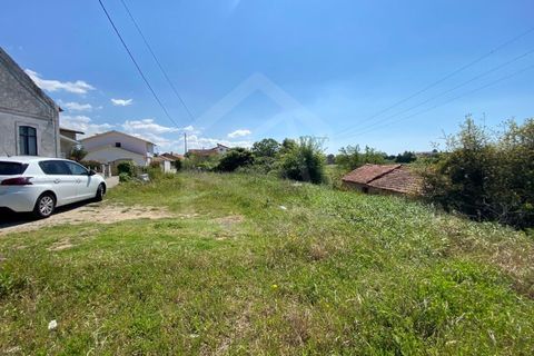 Helårsgrund i Anadia, Aveiro, Anadia - € 17.000 | Ref: 7624 - foto 5