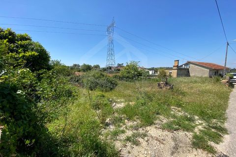 Helårsgrund i Anadia, Aveiro, Anadia - € 17.000 | Ref: 7624 - foto 6