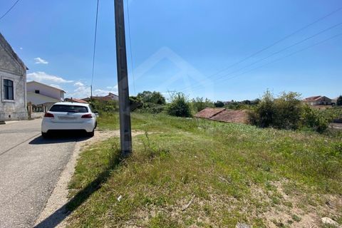 Helårsgrund i Anadia, Aveiro, Anadia - € 17.000 | Ref: 7624 - foto 7