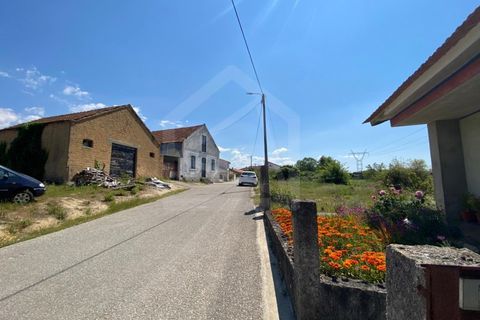 Helårsgrund i Anadia, Aveiro, Anadia - € 17.000 | Ref: 7624 - foto 8