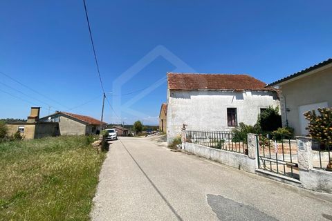Helårsgrund i Anadia, Aveiro, Anadia - € 17.000 | Ref: 7624 - foto 9