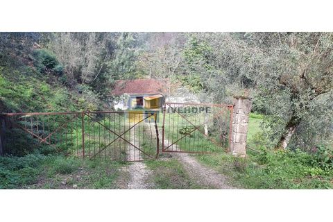 Farm i Coimbra, Coimbra, Coimbra - € 110.000 | Ref: FIN_131 - foto 2
