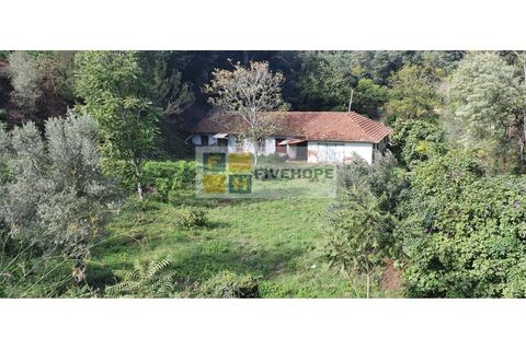 Farm i Coimbra, Coimbra, Coimbra - € 110.000 | Ref: FIN_131 - foto 3