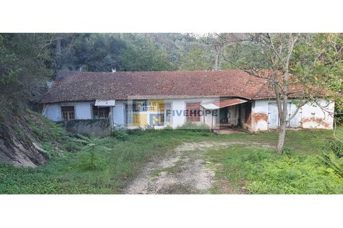 Farm i Coimbra, Coimbra, Coimbra - € 110.000 | Ref: FIN_131 - foto 4