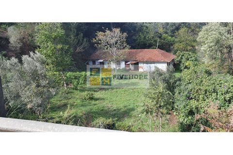 Farm i Coimbra, Coimbra, Coimbra - € 110.000 | Ref: FIN_131 - foto 5