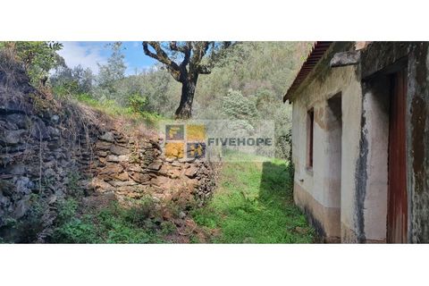 Farm i Coimbra, Coimbra, Coimbra - € 110.000 | Ref: FIN_131 - foto 6