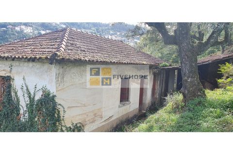 Farm i Coimbra, Coimbra, Coimbra - € 110.000 | Ref: FIN_131 - foto 7