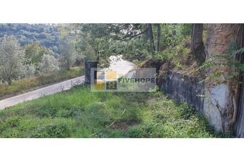 Farm i Coimbra, Coimbra, Coimbra - € 110.000 | Ref: FIN_131 - foto 8