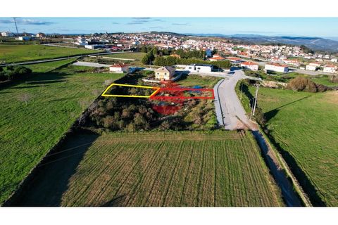 Helårsgrund i Meda, Guarda, Meda - € 31.500 | Ref: 393/MDA - foto 5