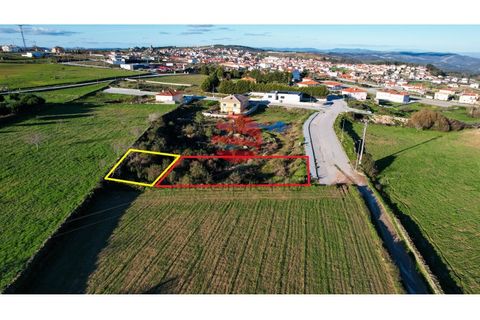 Helårsgrund i Meda, Guarda, Meda - € 31.000 | Ref: 392/MDA - foto 4