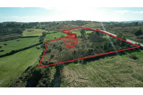 Helårsgrund i Meda, Guarda, Meda - € 20.000 | Ref: 303/MDA - foto 2