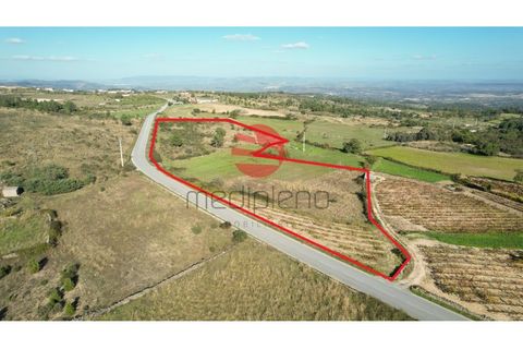 Helårsgrund i Meda, Guarda, Meda - € 20.000 | Ref: 303/MDA - foto 3