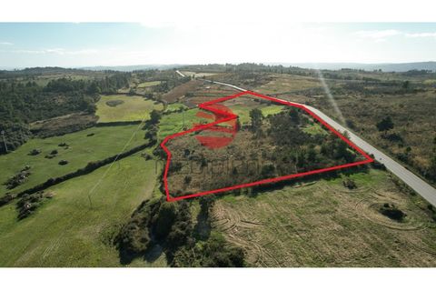 Helårsgrund i Meda, Guarda, Meda - € 20.000 | Ref: 303/MDA - foto 4