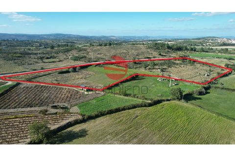 Helårsgrund i Meda, Guarda, Meda - € 20.000 | Ref: 303/MDA - foto 6