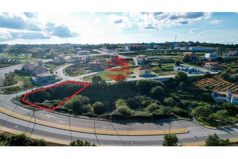 Helårsgrund i Meda, Guarda, Meda - € 27.500 | Ref: 110/MDA - foto 2