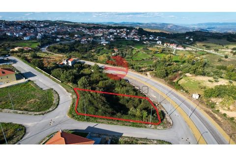 Helårsgrund i Meda, Guarda, Meda - € 27.500 | Ref: 110/MDA - foto 3