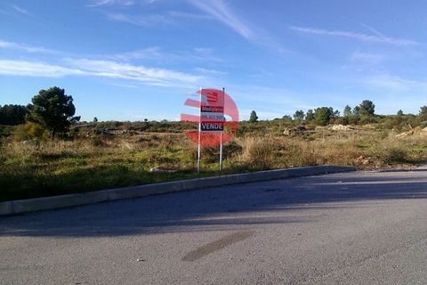Erhvervsejendom i Meda, Guarda, Meda - € 30.000 | Ref: 065/MDA - foto 1