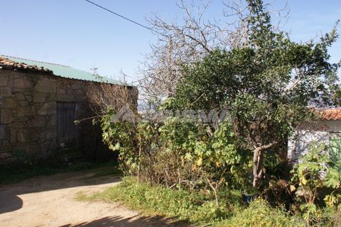 Farm i Covilha, Castelo Branco, Covilha - € 100.000 | Ref: PP4125 - foto 2