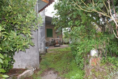Farm i Covilha, Castelo Branco, Covilha - € 100.000 | Ref: PP4125 - foto 3