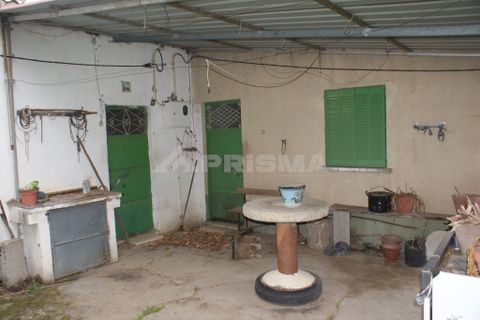 Farm i Covilha, Castelo Branco, Covilha - € 100.000 | Ref: PP4125 - foto 4