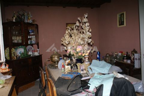 Farm i Covilha, Castelo Branco, Covilha - € 100.000 | Ref: PP4125 - foto 11